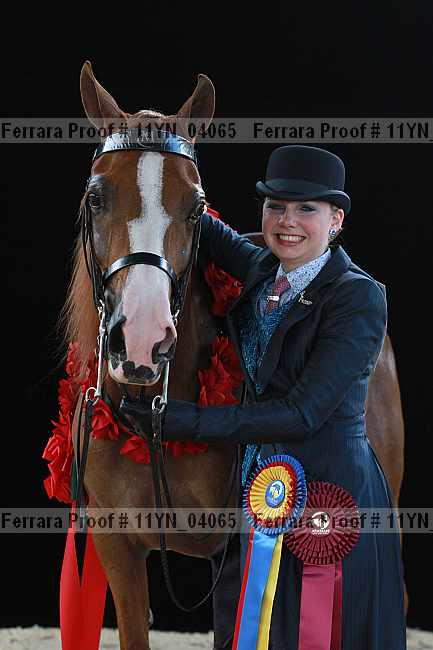 Proof 11yn_04065