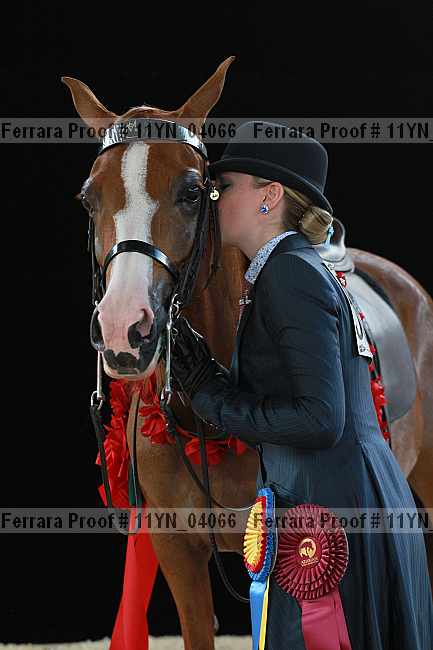 Proof 11yn_04066
