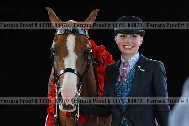 Proof 11yn_04070