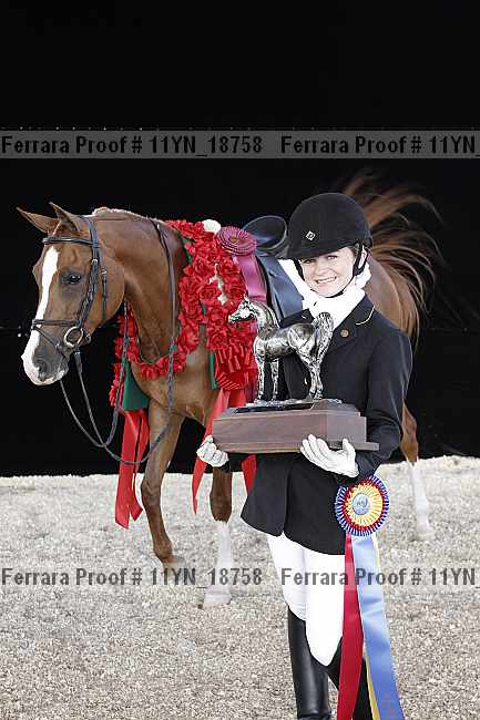 Proof 11yn_18758