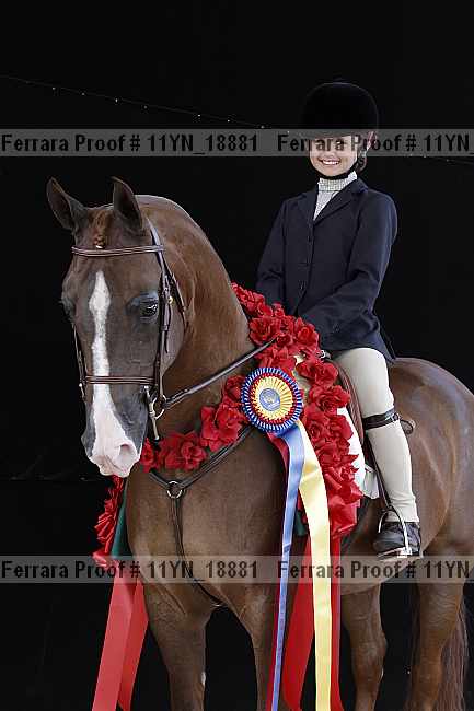 Proof 11yn_18881