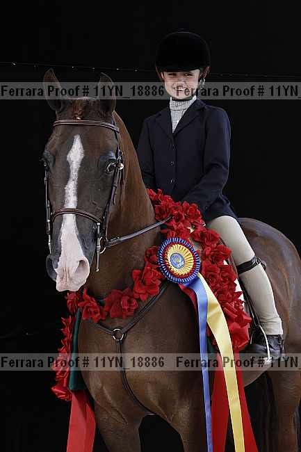 Proof 11yn_18886