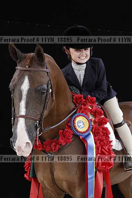 Proof 11yn_18895