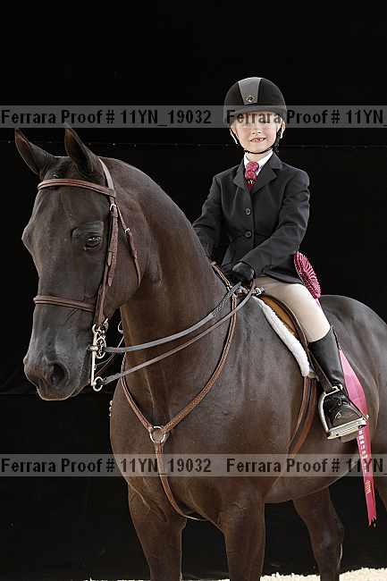 Proof 11yn_19032