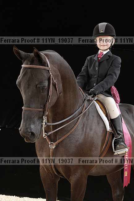 Proof 11yn_19037
