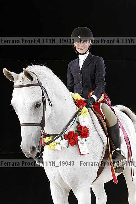 Proof 11yn_19043