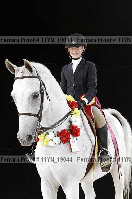 Proof 11yn_19044