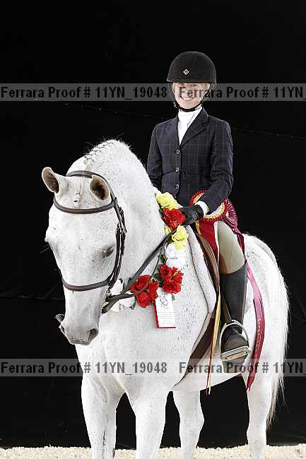 Proof 11yn_19048