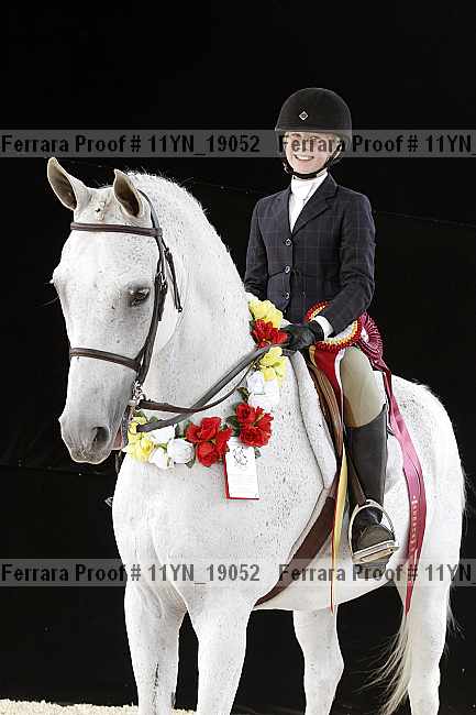 Proof 11yn_19052