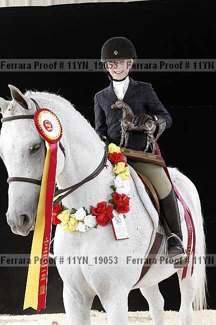 Proof 11yn_19053