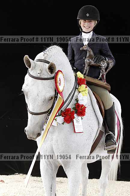 Proof 11yn_19054