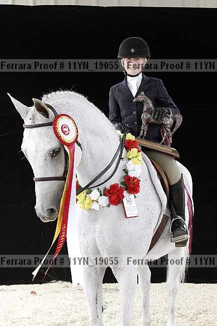 Proof 11yn_19055