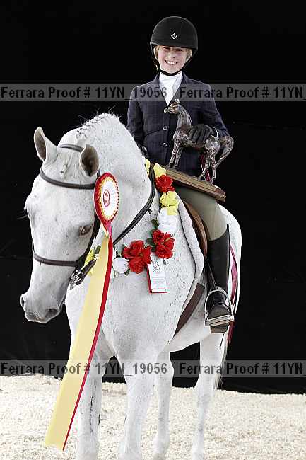 Proof 11yn_19056