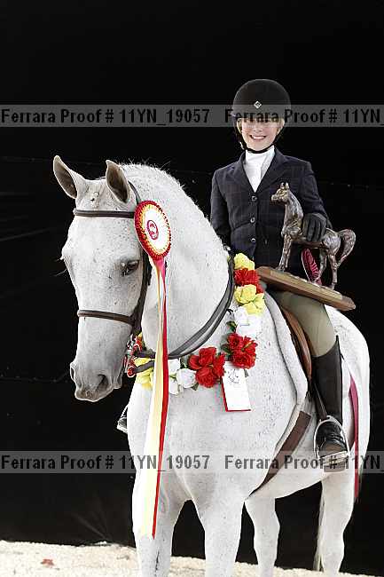Proof 11yn_19057