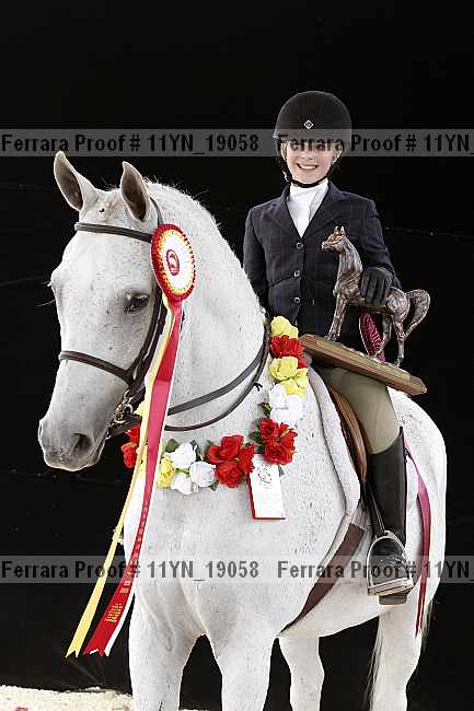 Proof 11yn_19058