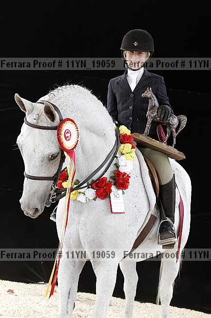 Proof 11yn_19059