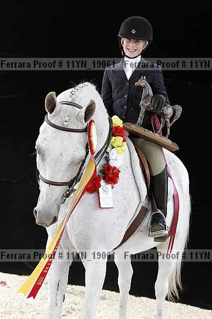 Proof 11yn_19061