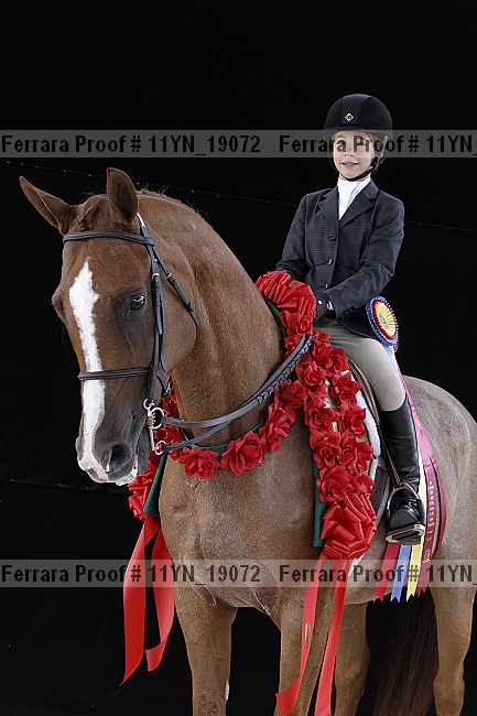 Proof 11yn_19072