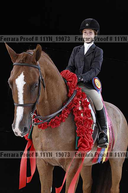 Proof 11yn_19073