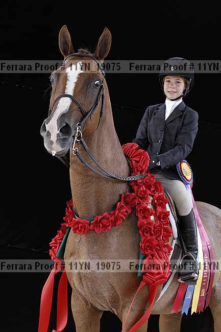 Proof 11yn_19075