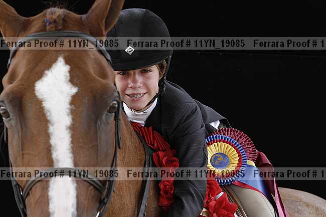 Proof 11yn_19085