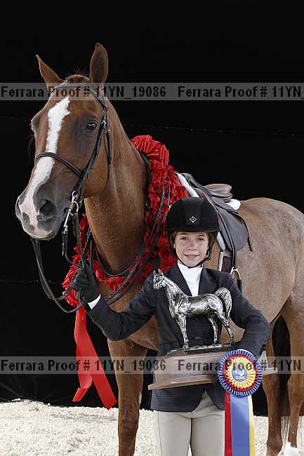 Proof 11yn_19086