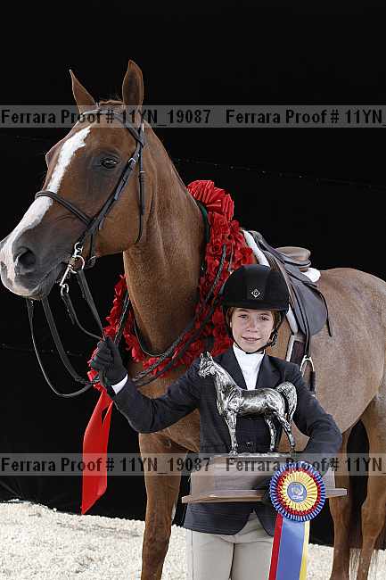 Proof 11yn_19087