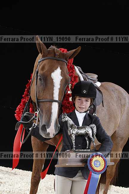 Proof 11yn_19090
