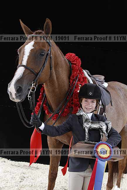 Proof 11yn_19091