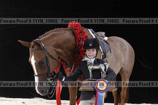 Proof 11yn_19092