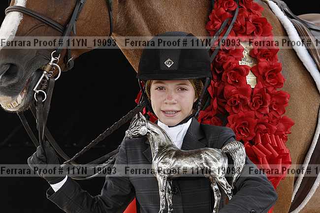 Proof 11yn_19093