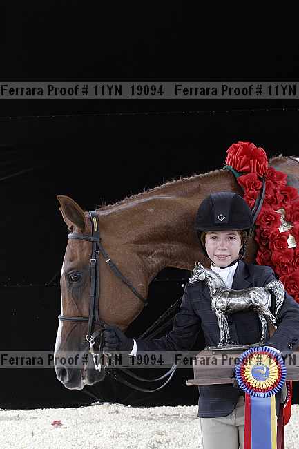 Proof 11yn_19094