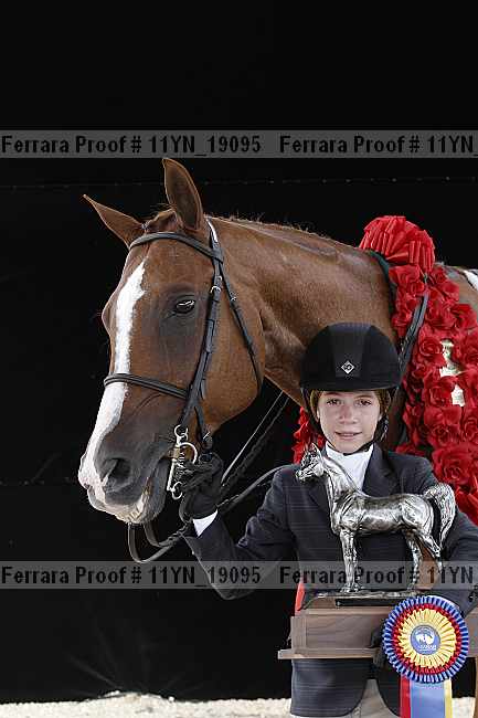 Proof 11yn_19095