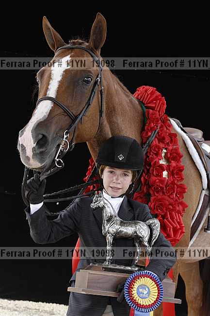 Proof 11yn_19098