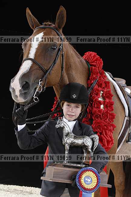 Proof 11yn_19099