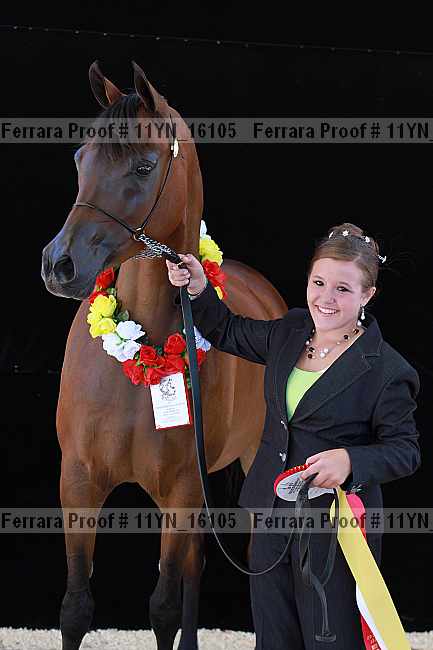 Proof 11yn_16105