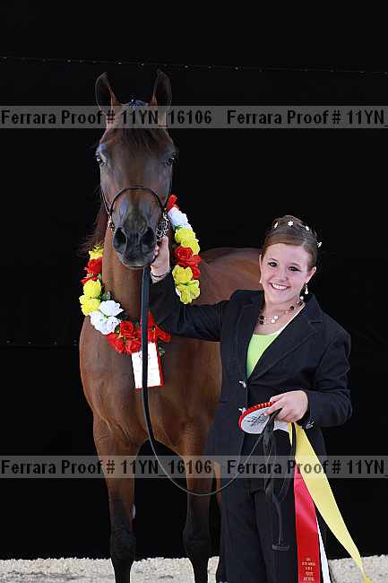 Proof 11yn_16106