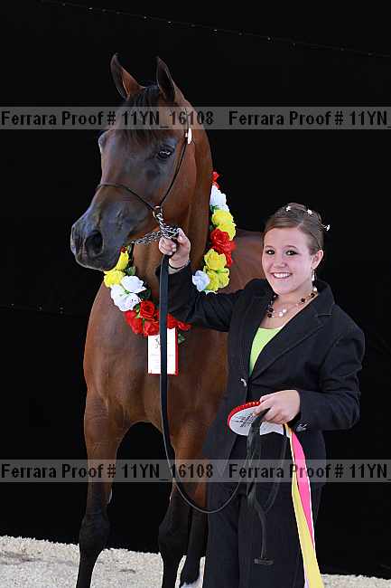 Proof 11yn_16108