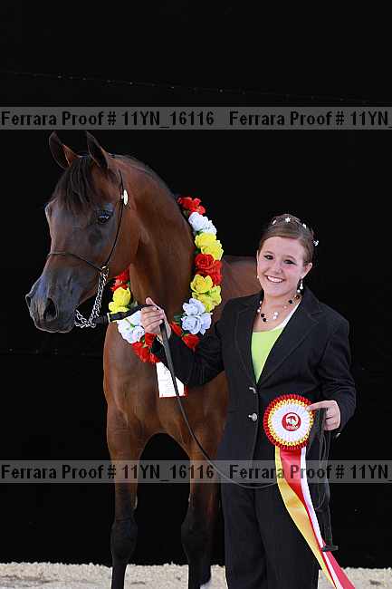 Proof 11yn_16116