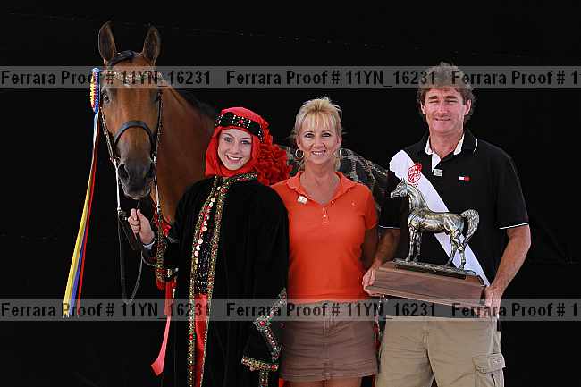 Proof 11yn_16231
