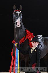 11yn_16324 proof