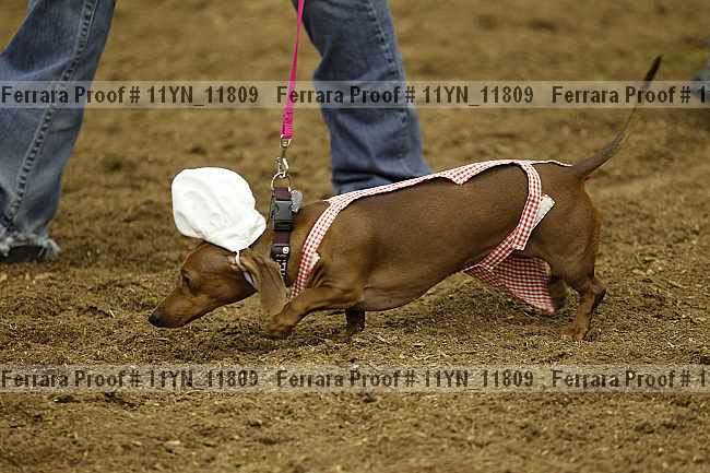 Proof 11yn_11809