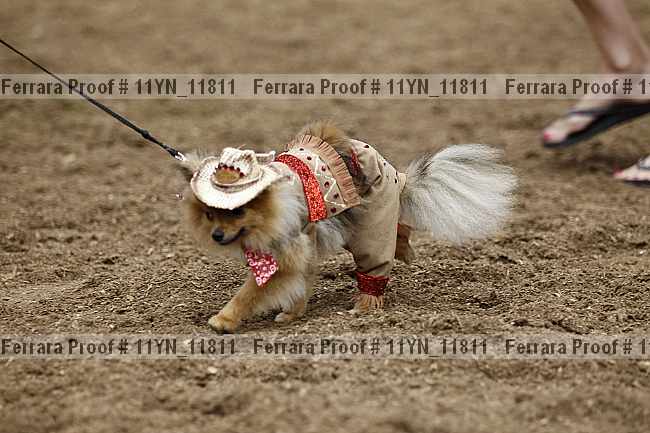 Proof 11yn_11811