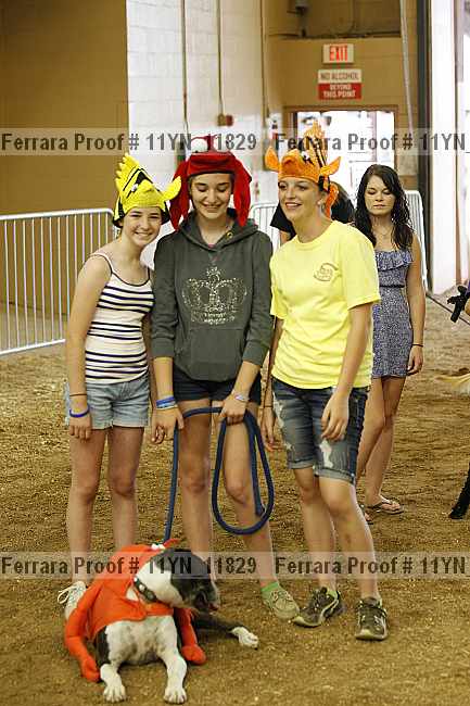 Proof 11yn_11829