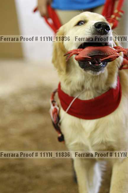 Proof 11yn_11836