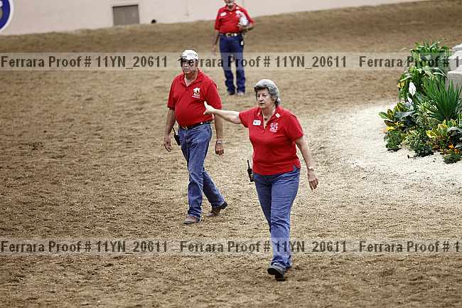 Proof 11yn_20611