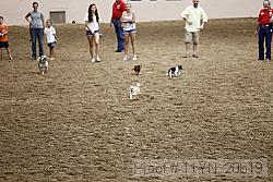 11yn_20619 proof