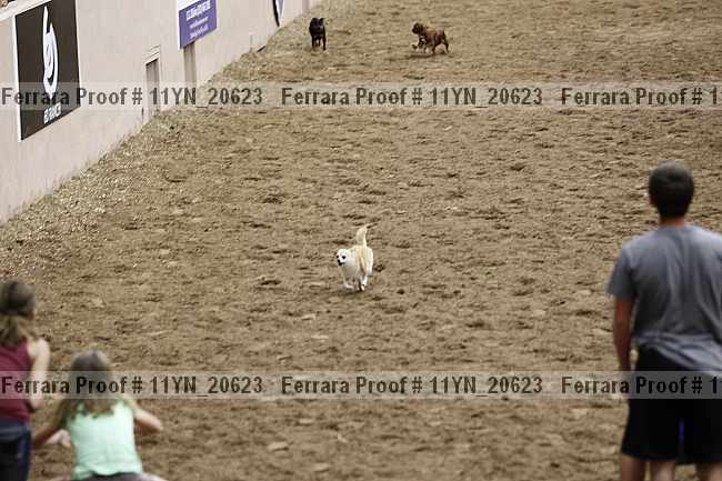 Proof 11yn_20623