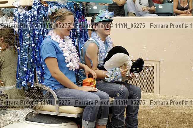 Proof 11yn_05275