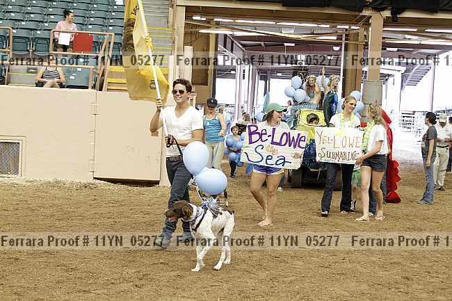 Proof 11yn_05277